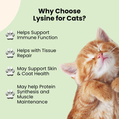 Lysine pour chats Oliver & Co. – ingrédients de qualité vérifiés.