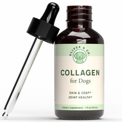 Oliver et Co Teinture Collagene Chien — bouteille pratique pour la mobilité.