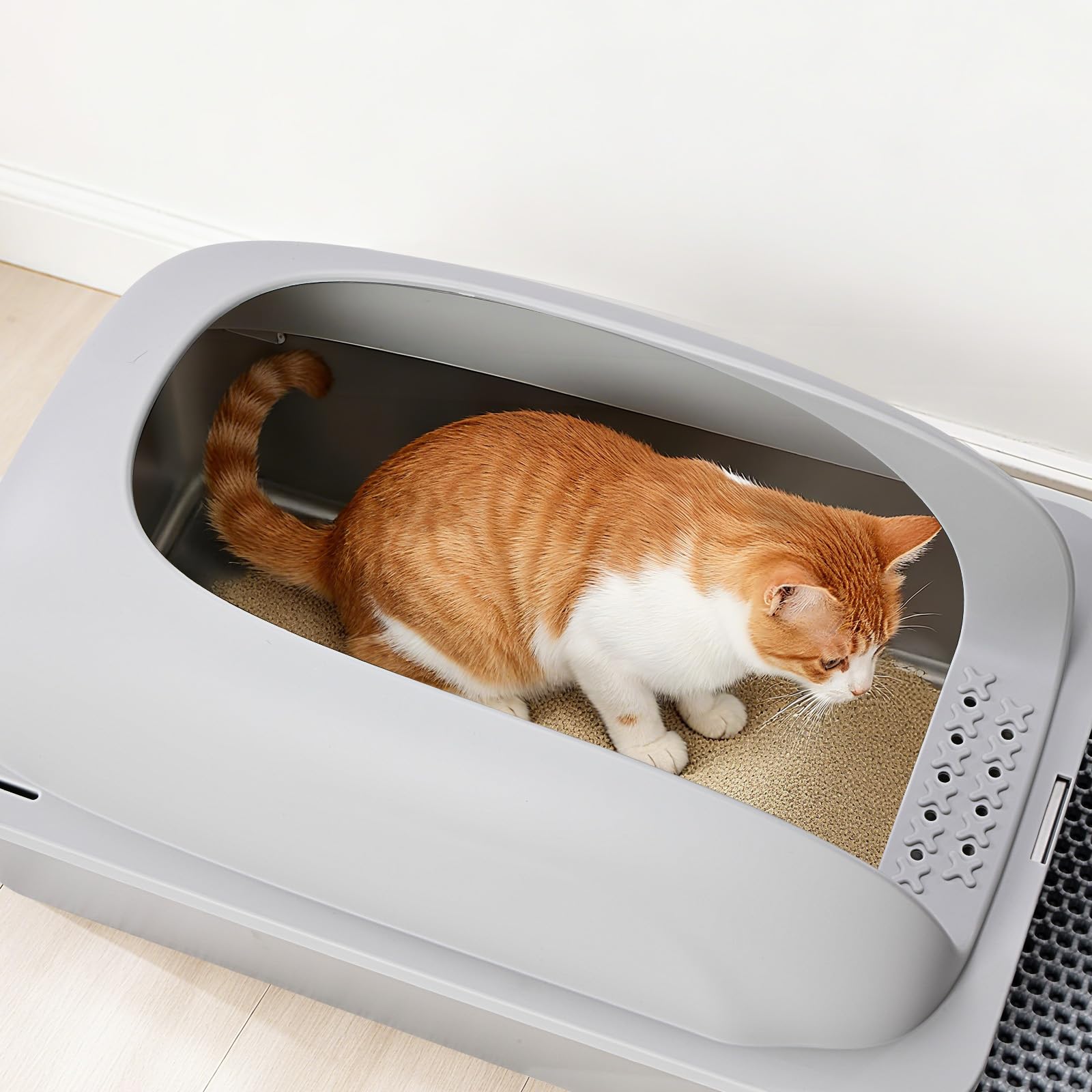 OLIXIS boîte-litière chat inox murs hauts; espace intérieur généreux