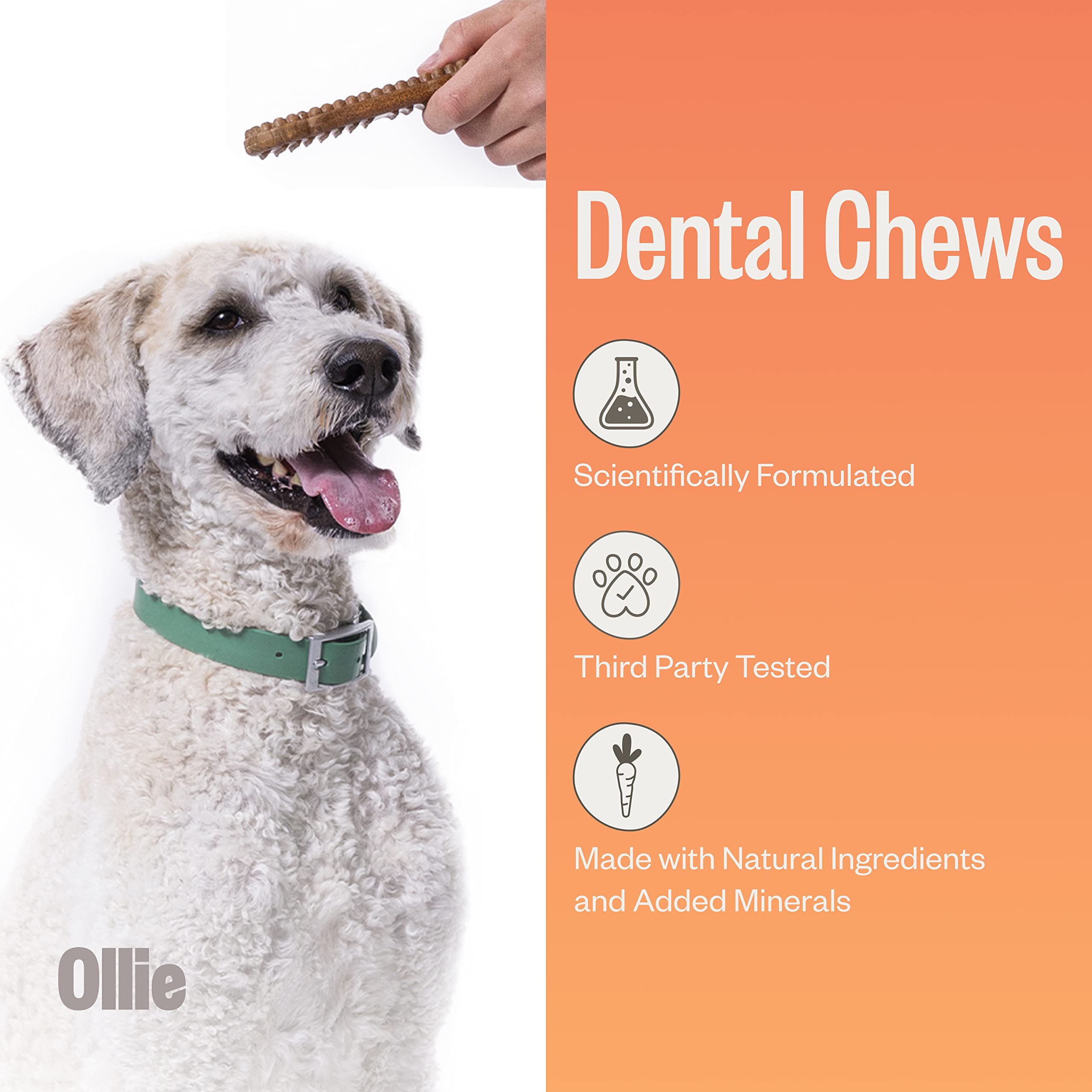 Sachet Ollie Dental Chews 12 onces, bouchées dentaires faciles à donner.