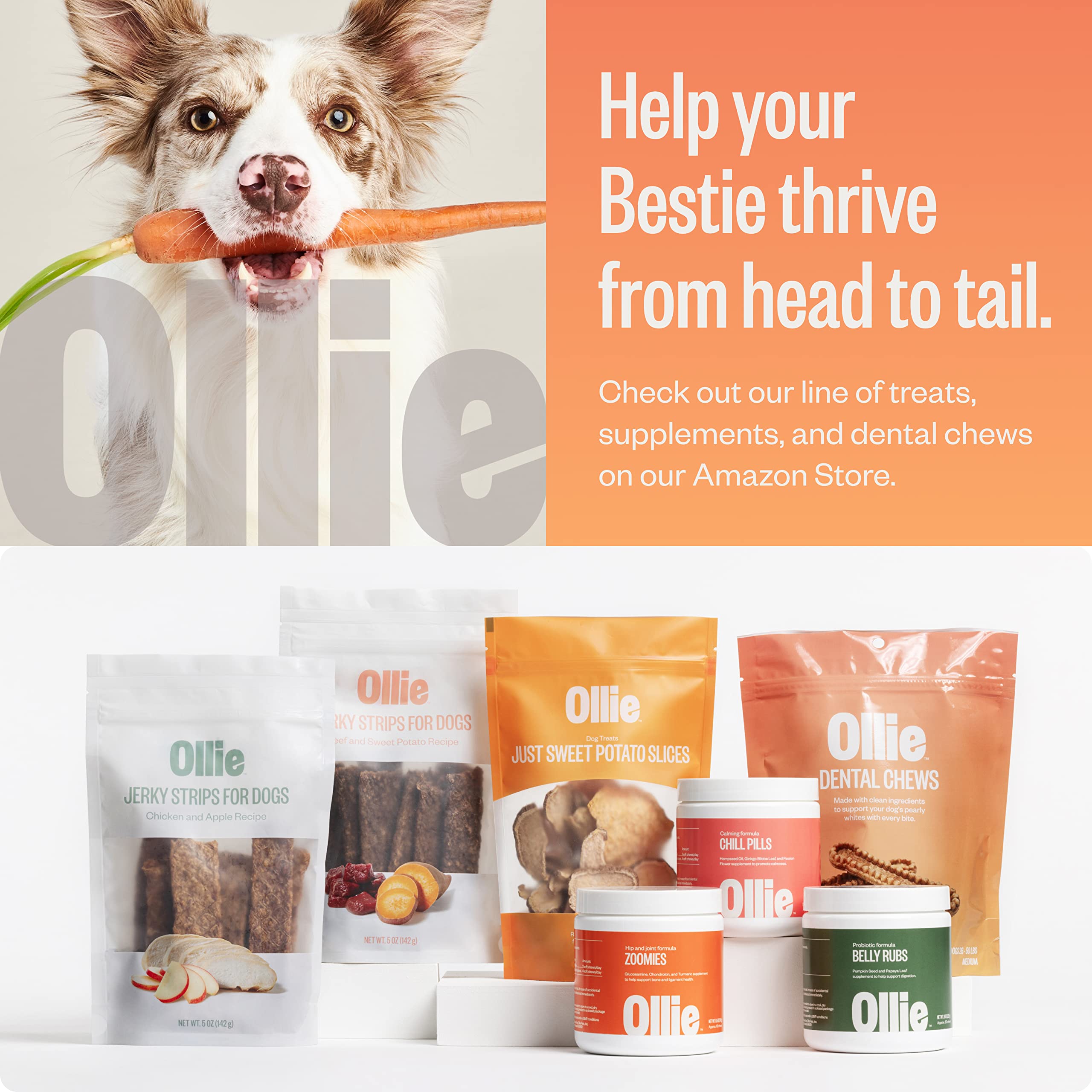Détail de taille adaptée pour chiens pesant 51 livres et plus.