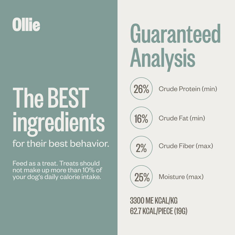 Chien savourant Ollie jerky poulet-pomme, récompense saine et gourmande.
