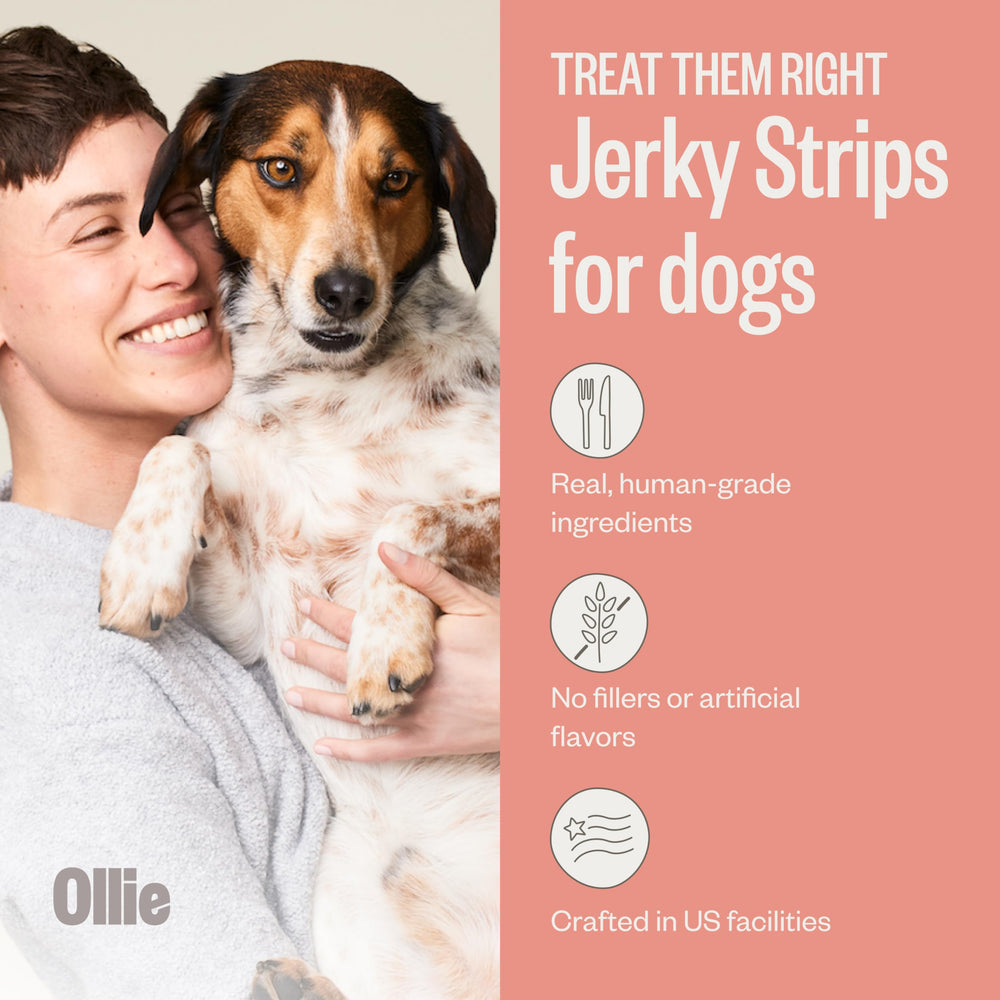 Ingrédients naturels visibles sur Ollie Jerky boeuf et patate douce.