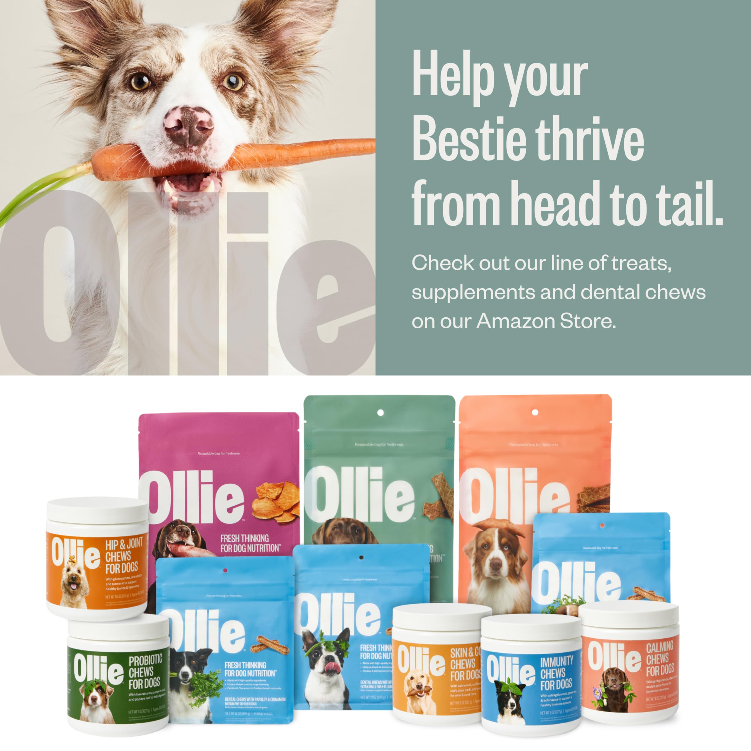 Notice Ollie: portions adaptées et conseils d’utilisation.