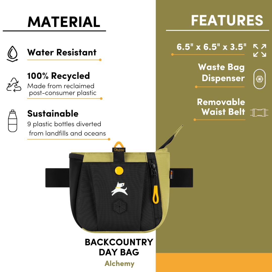 OllyDog Backcountry Day Bag disponible en couleurs et imprimés.