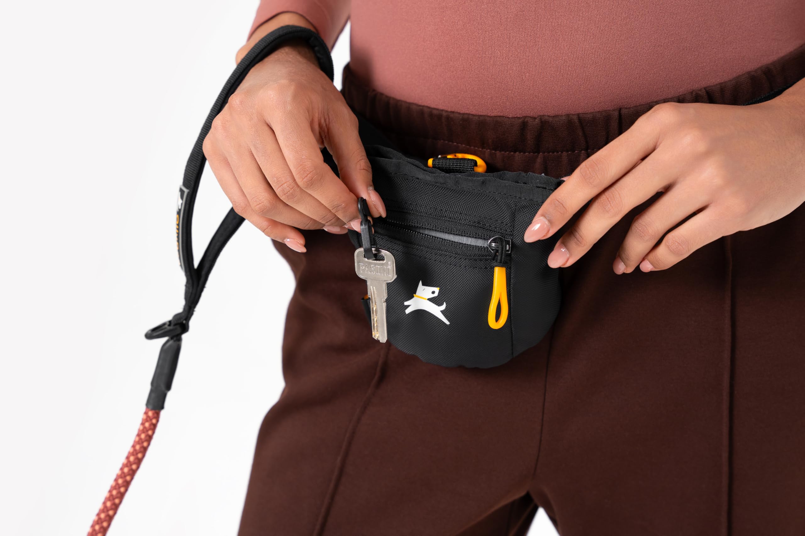OllyDog Goodie fermeture magnetique facilitant les récompenses