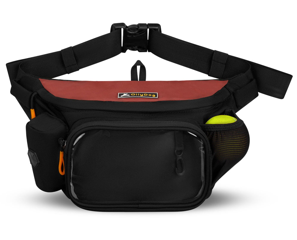 OllyDog Trailblazer Pack, design coloré et moderne pour un look dynamique