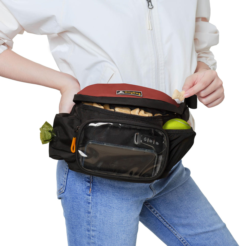 OllyDog Trailblazer Pack, distributeur de sacs intégré facilite le nettoyage lors des promenades