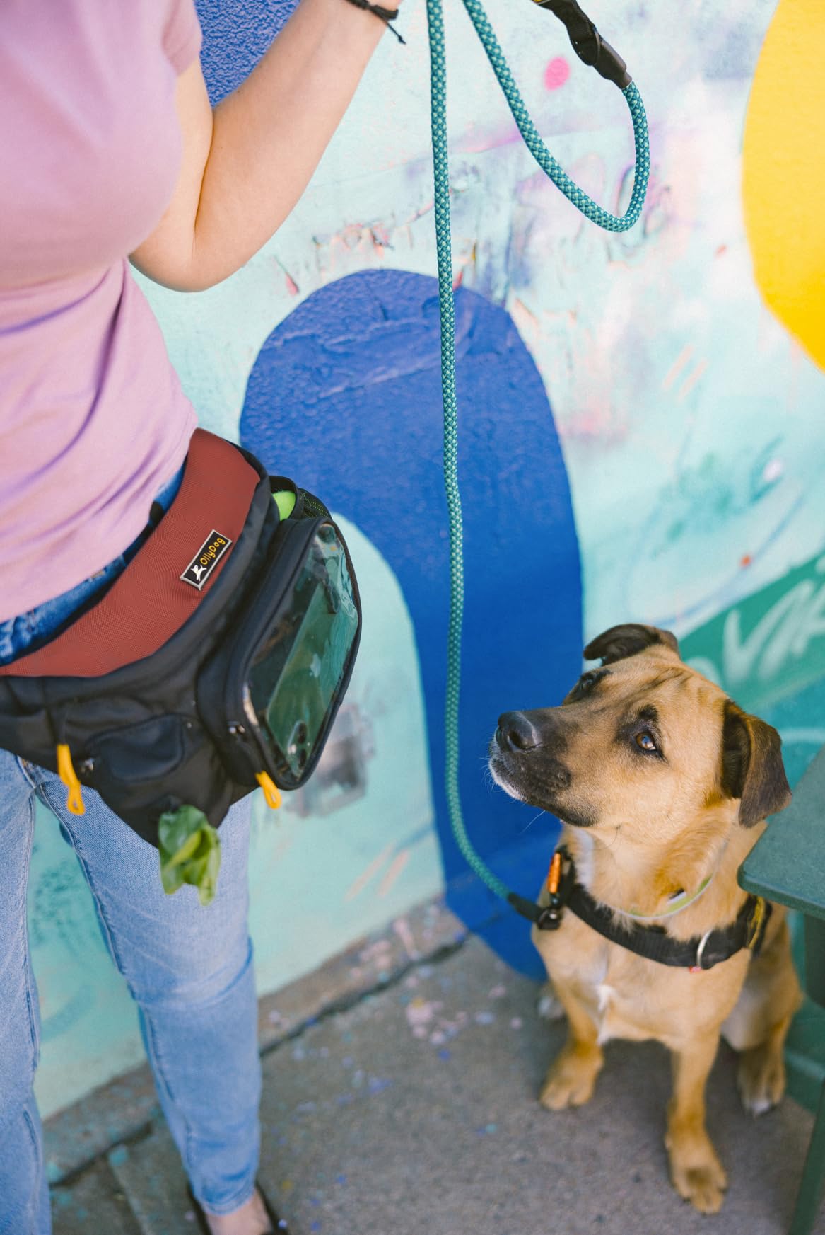 OllyDog Trailblazer Pack, poche téléphone transparente pour accès rapide pendant les sorties