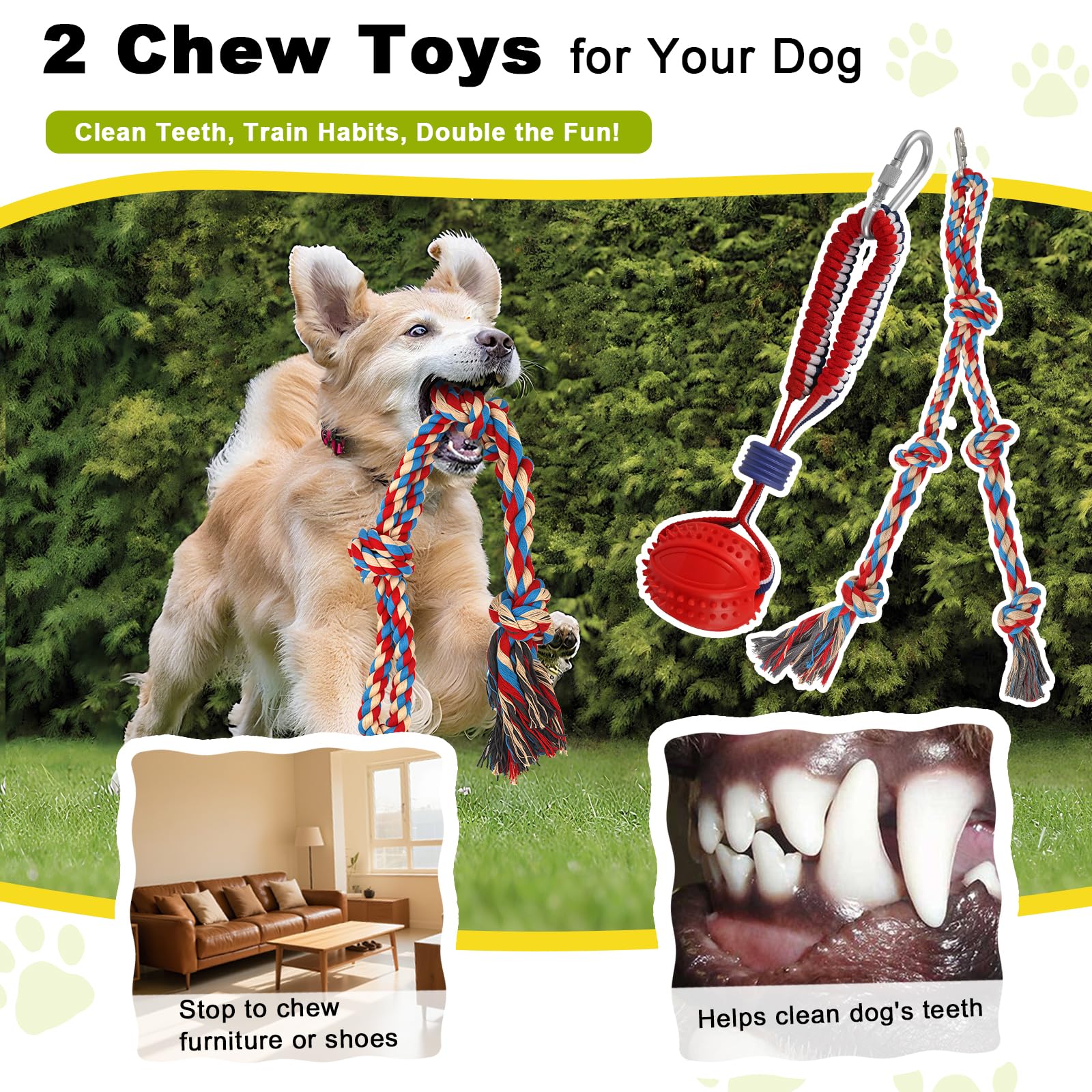 Olpchee Hauteur-reglable 33-a-47-pouces – ajuste rapidement pour tous les chiens.