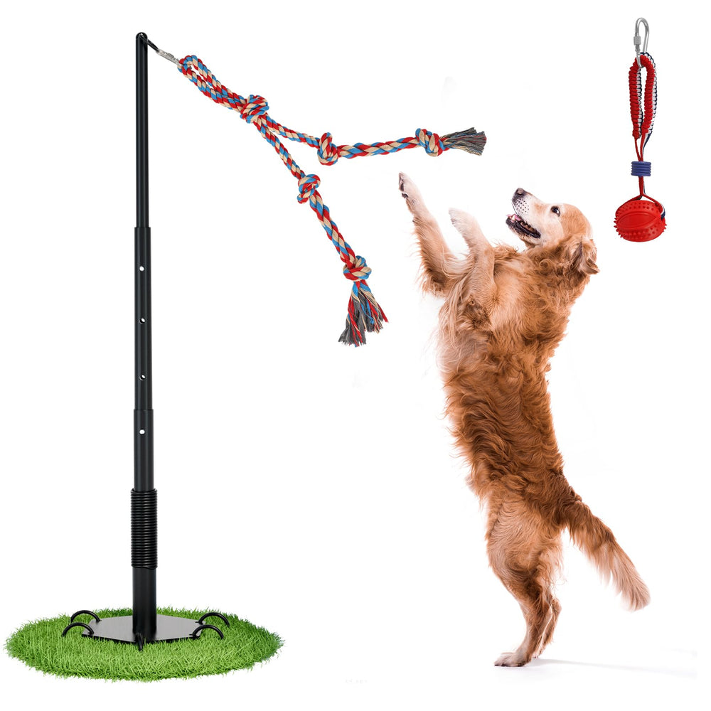 Olpchee Jouet-tug Exterieur Chien – activité solo stimulante et sûre.