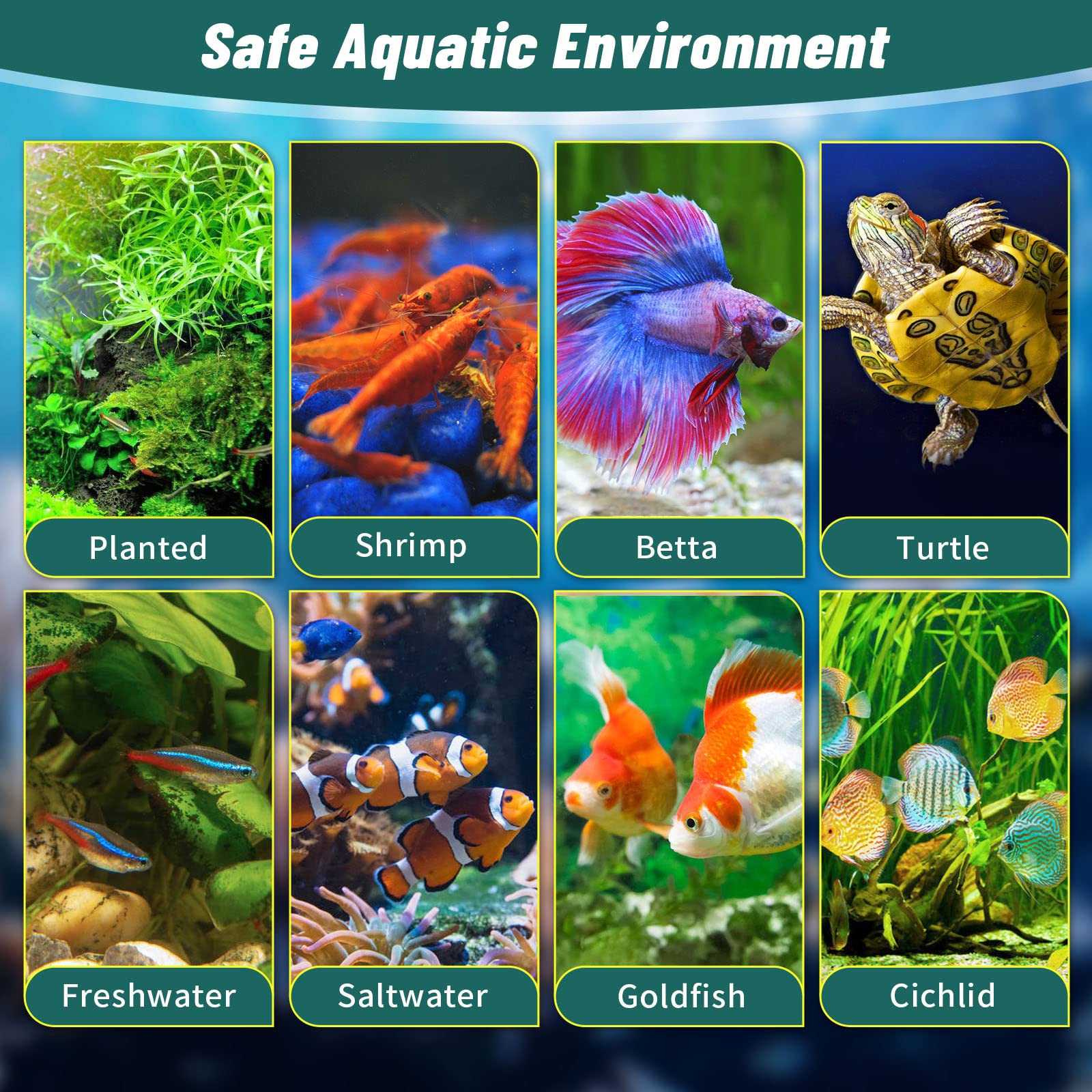 Oltraman Betta système hydroponique et aquaponique pour plantes et poissons.