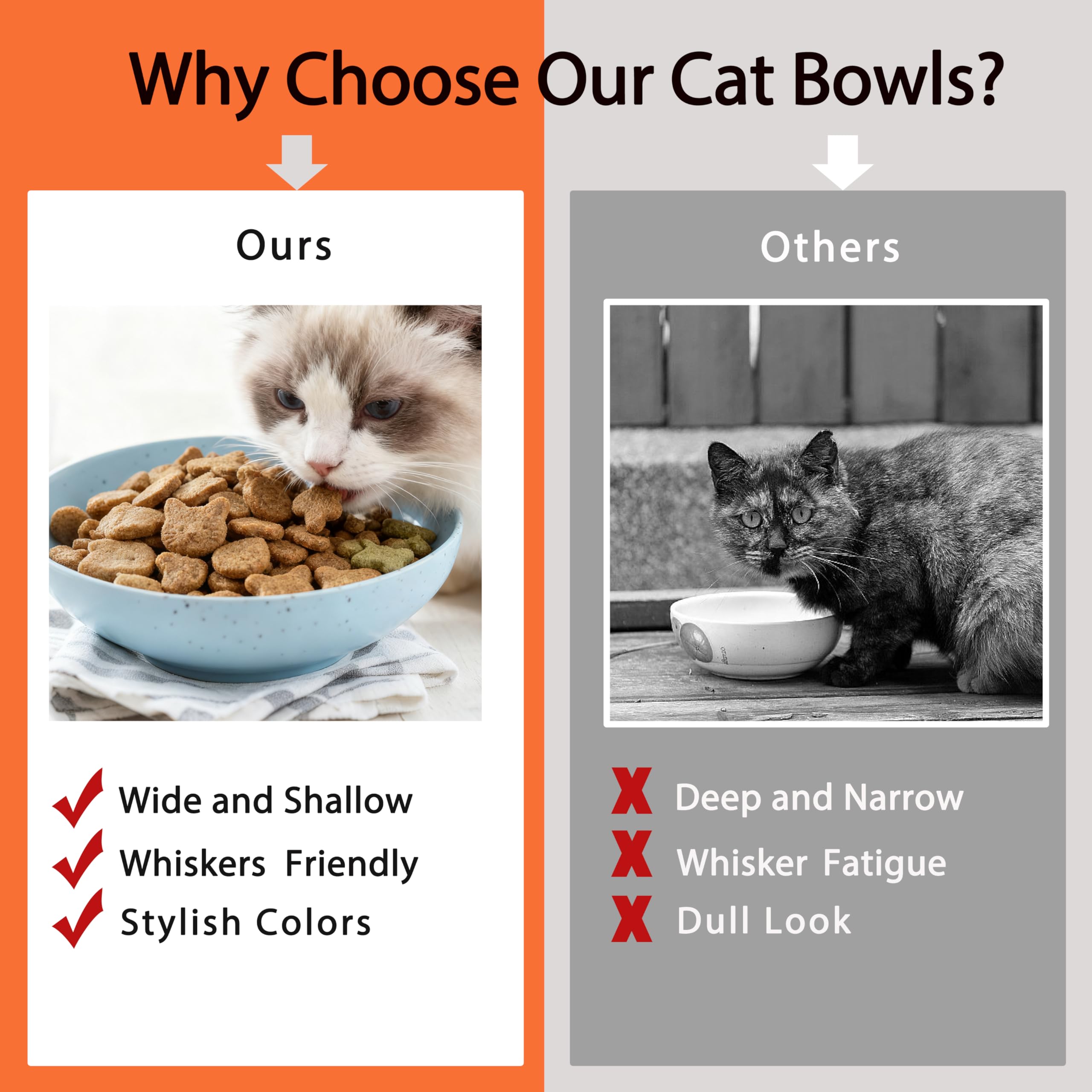 OLULU bols chat – bol résistant aux chutes et durable