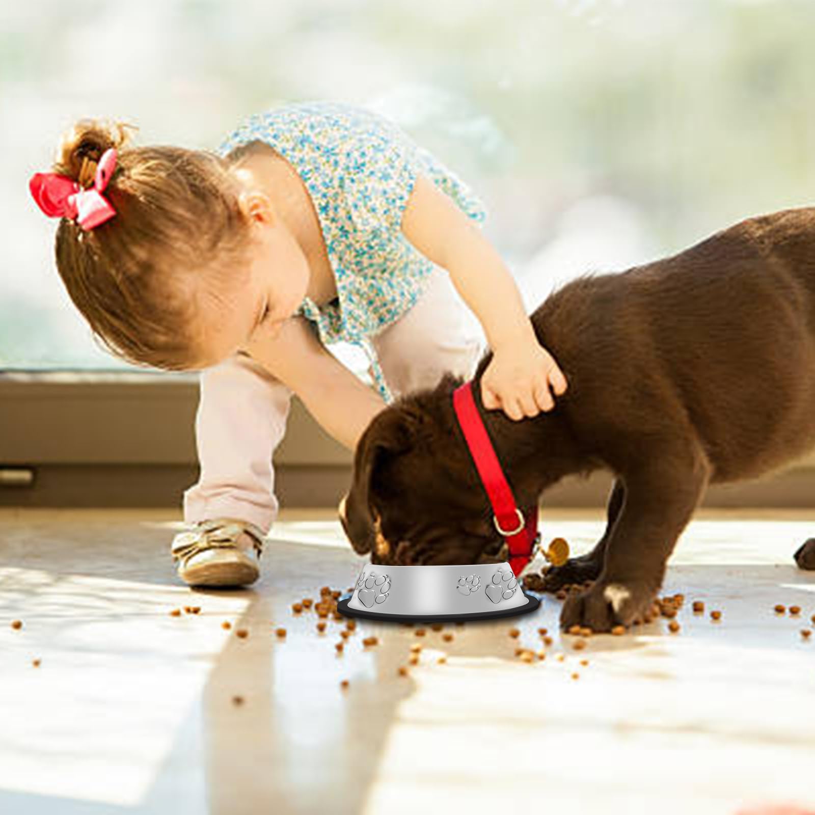 Cadeau ideal pour animal, bol Olutacot pour interieur ou exterieur.
