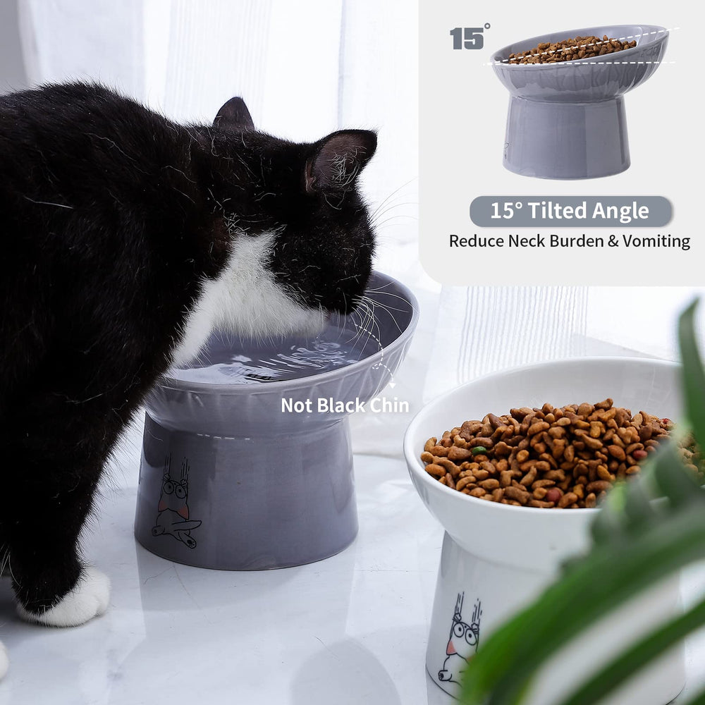 OMAYKEY assiette chat elevée capacite 13-5 onces pratique nourriture et eau