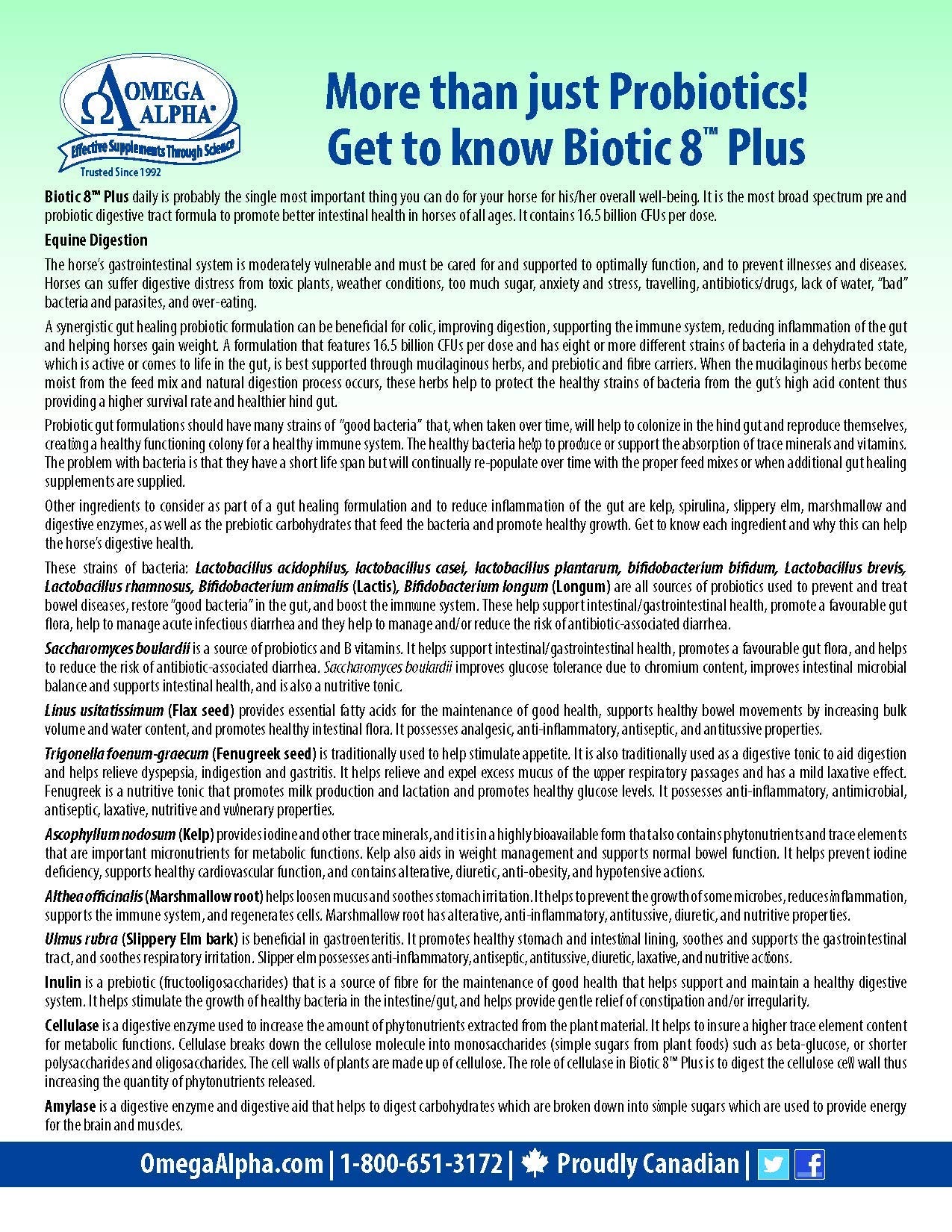Doseur Biotic 8 — dosage pratique pour cheval, administration simple et fiable
