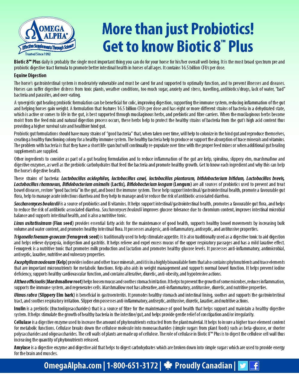 Doseur Biotic 8 — dosage pratique pour cheval, administration simple et fiable