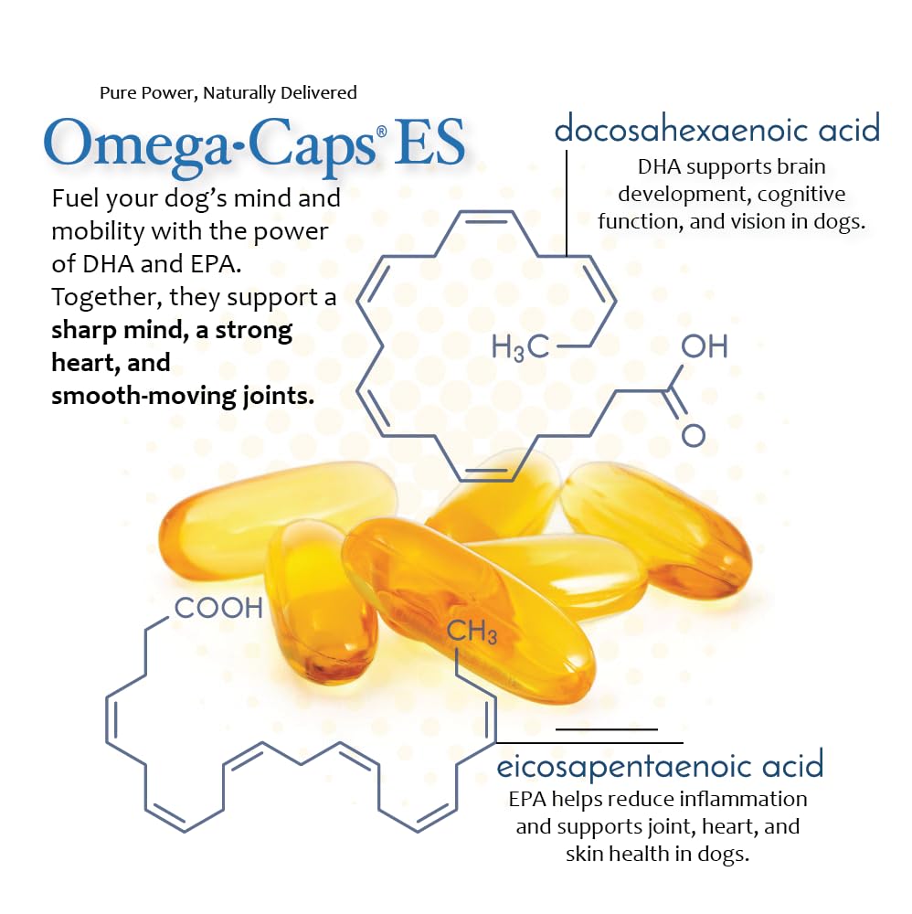 Omega Caps ES intègre des antioxydants pour soutenir l’immunité générale.