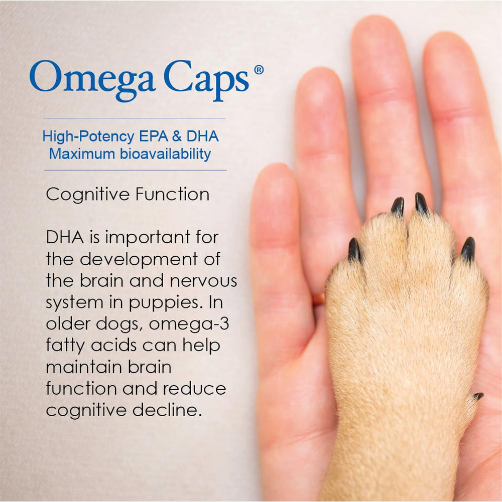 OMEGA-CAPS ES – soutien potentiel à la mobilité et articulations des chiens