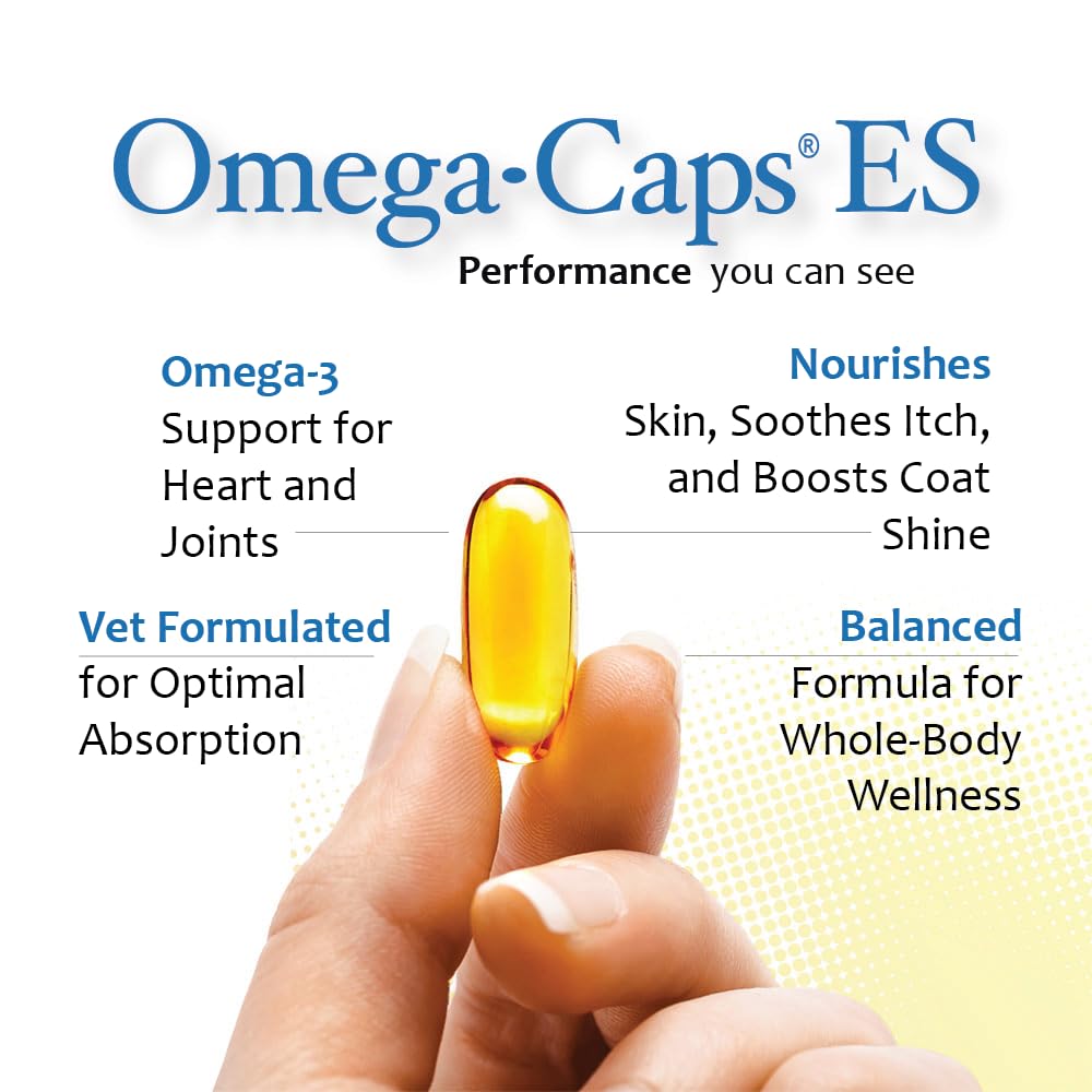 Omega Caps ES pour réduire les pertes de poils chez les grands chiens.