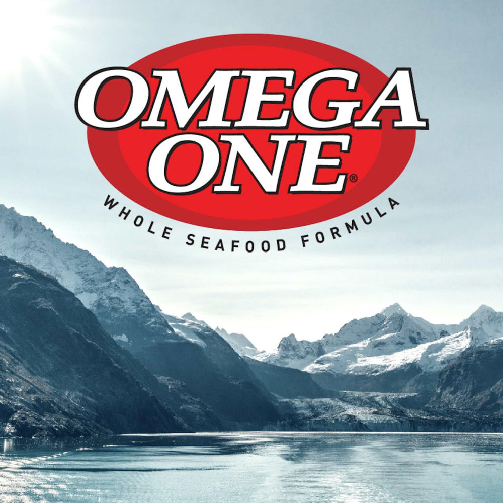 Omega One utilisation quotidienne facile, dose adaptée au poisson rouge.