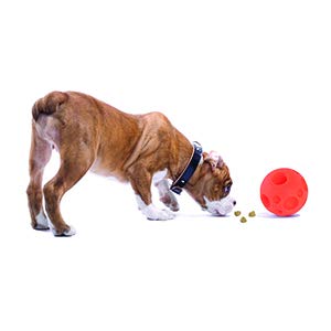 Omega Paw balle securite prise – conception prise efficace pour jeux interactifs