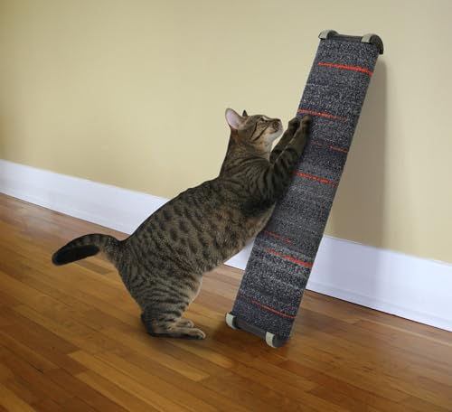Omega Paw Lean-it post sur sol moquette offre une zone de grattage confortable.