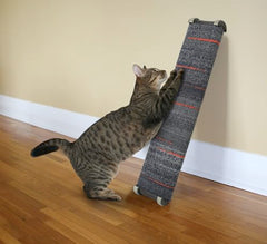 Omega Paw Lean-it post sur sol moquette offre une zone de grattage confortable.