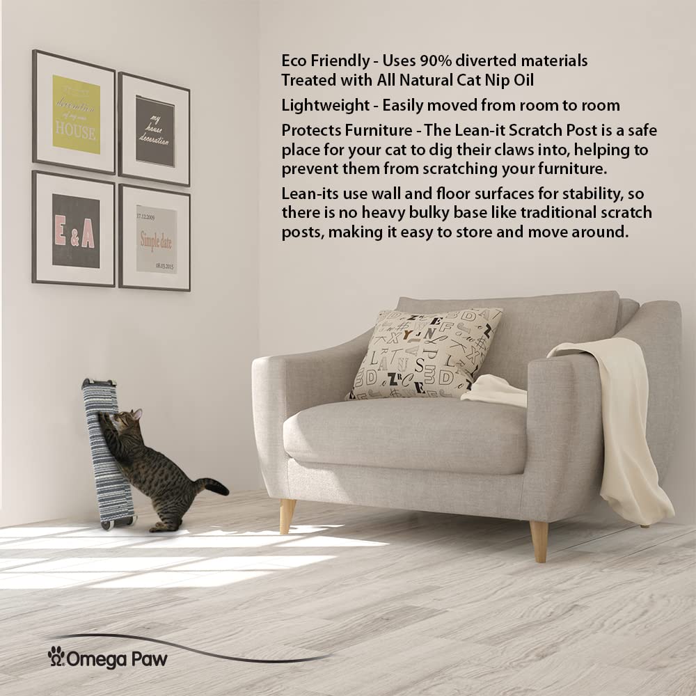Omega Paw Lean-it post utilisation quotidienne favorise l’étirement et le jeu sans effort.