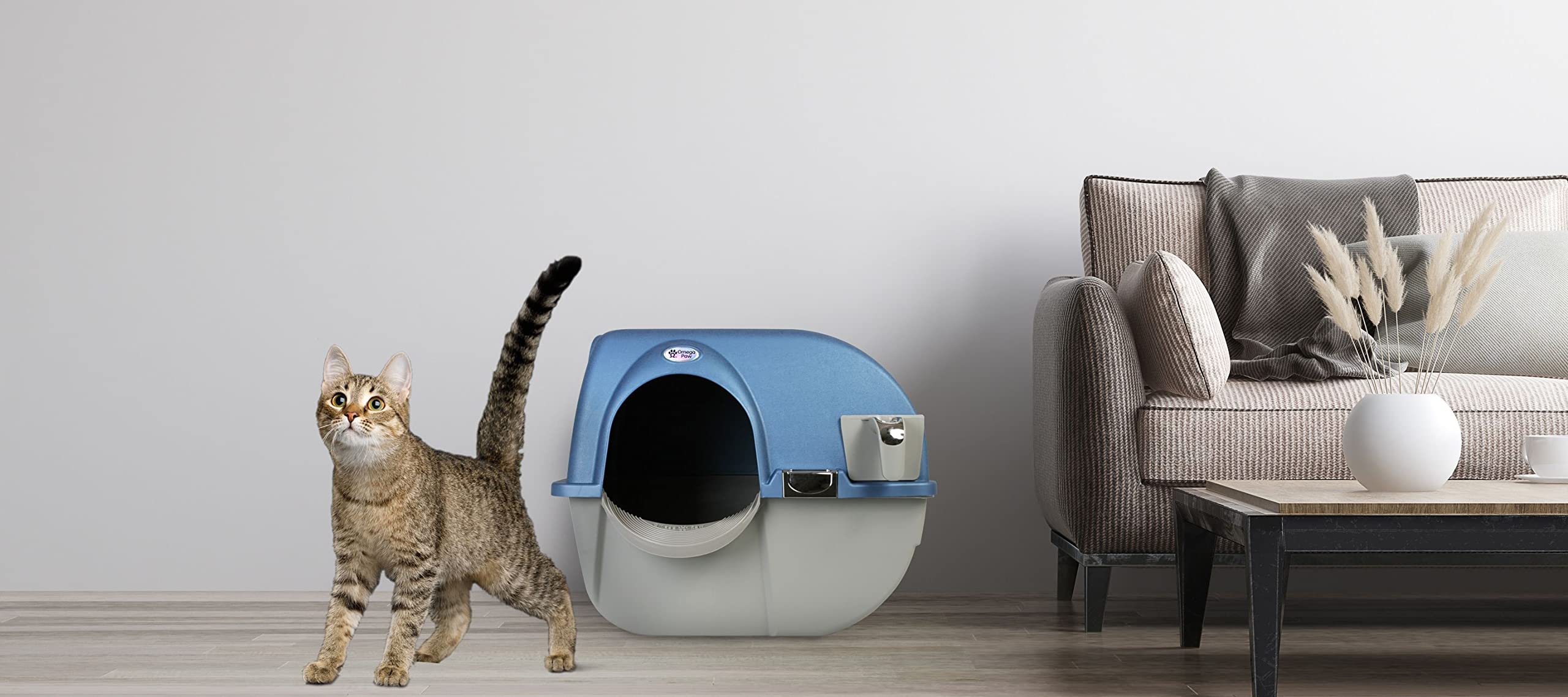 Omega Paw Roll 'n Clean – top bleu perle au look moderne
