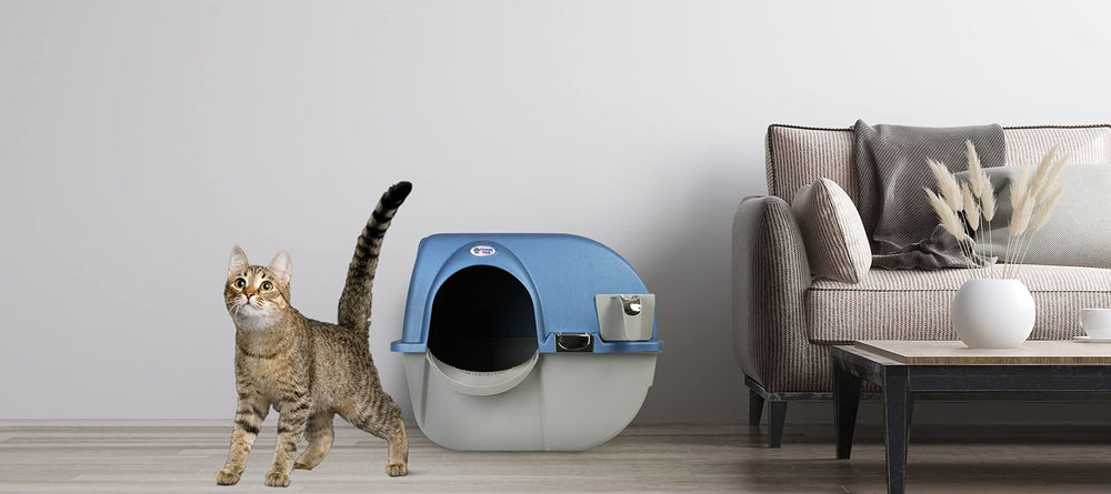 Omega Paw Roll 'n Clean – top bleu perle au look moderne