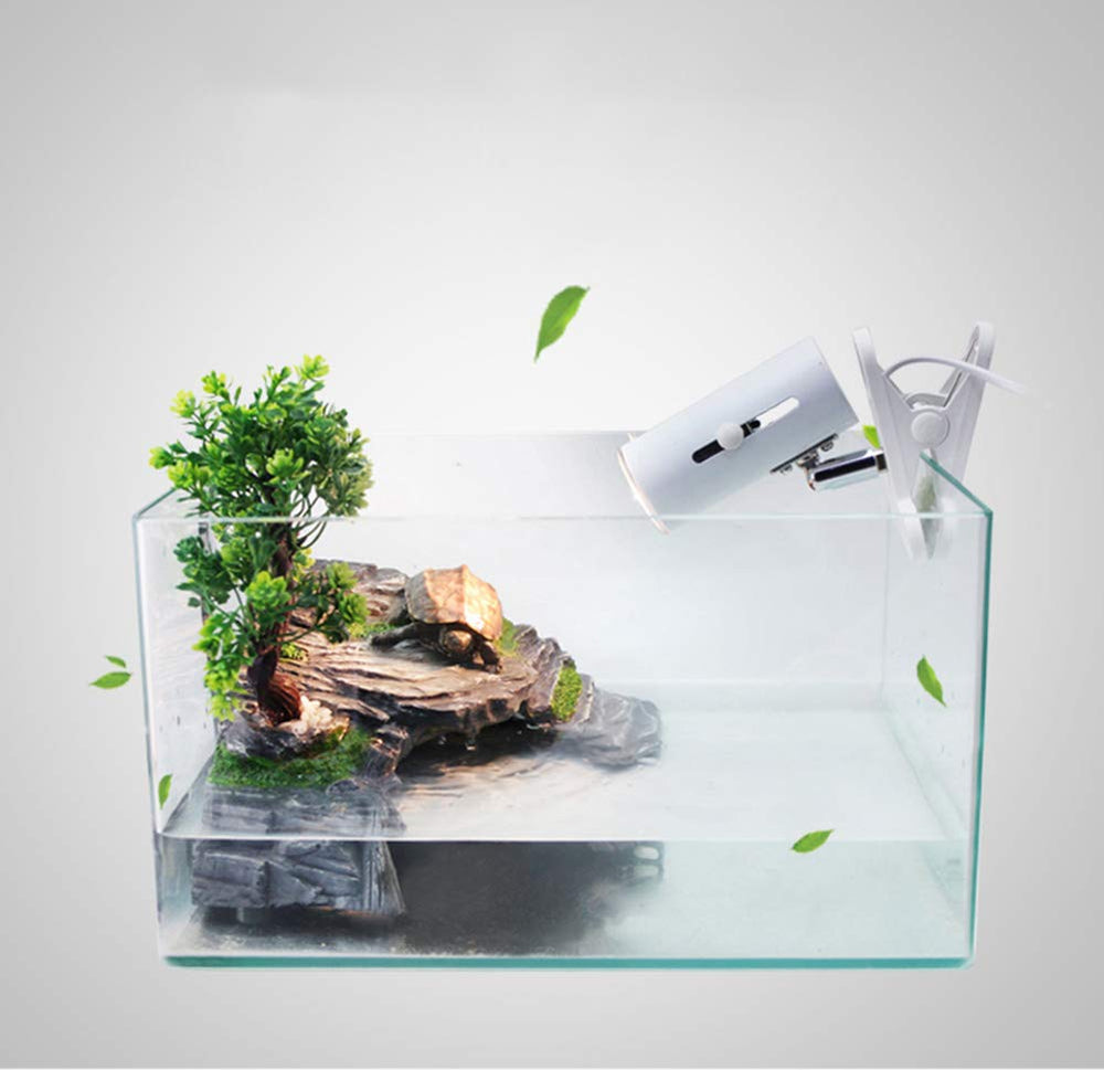 Décor montagne et eau OMEM reproduisant l’effet courant dans le décor.