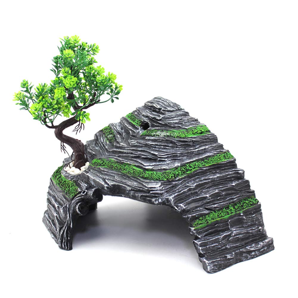 Abri utilisant OMEM pour un aménagement discret et pratique du terrarium.