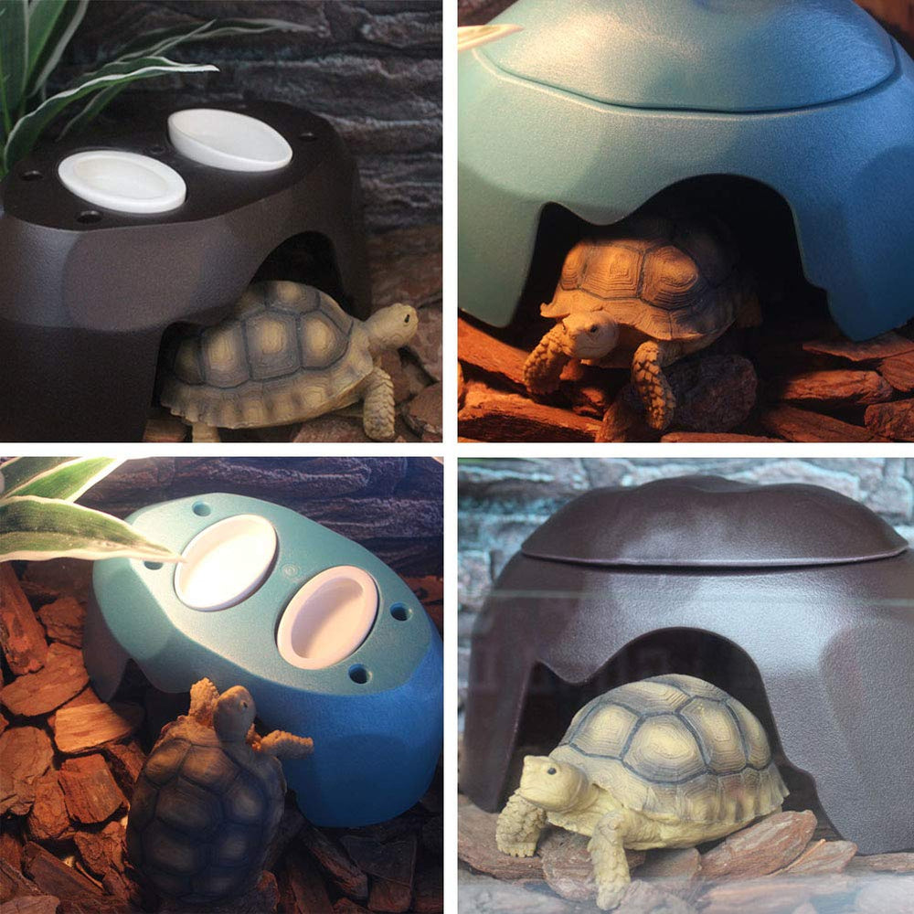 OMEM Reptiles House espace repos bleu, refuge calme pour reptiles