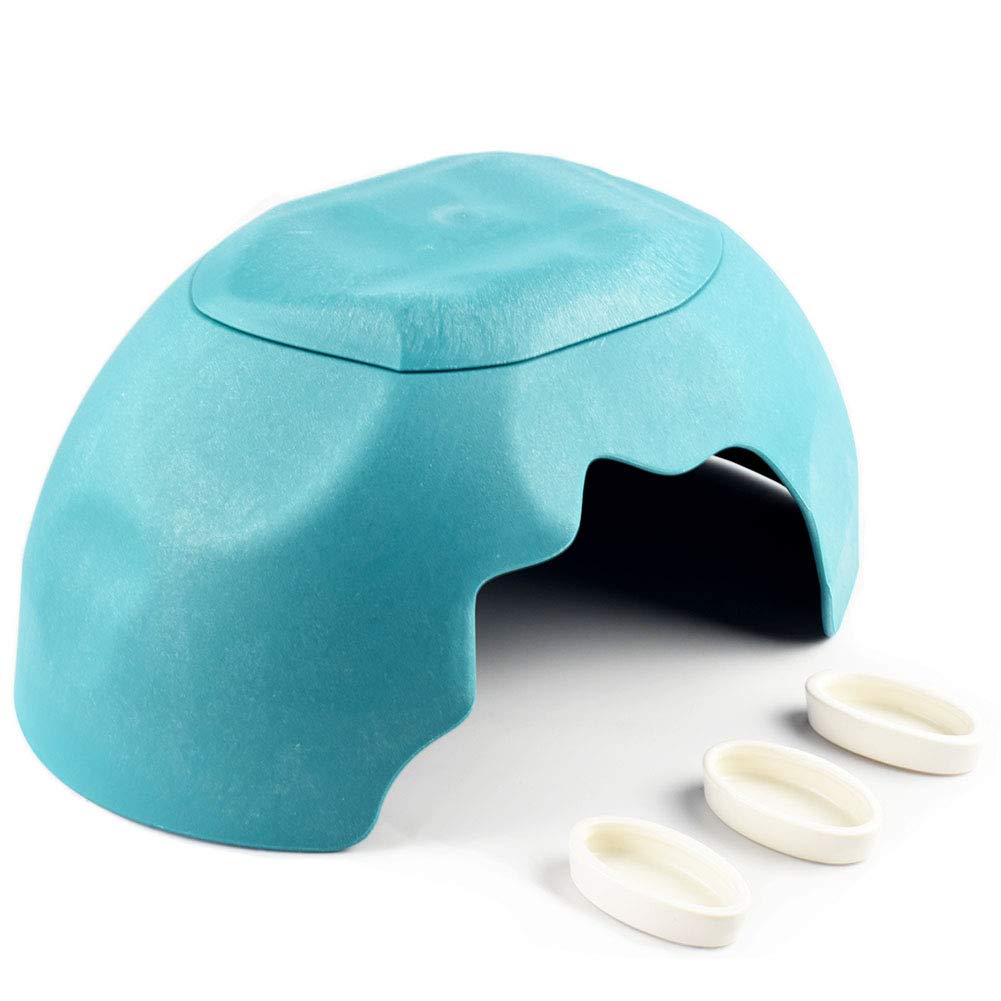 OMEM Reptiles House habitat polyvalent bleu, support pratique pour observation