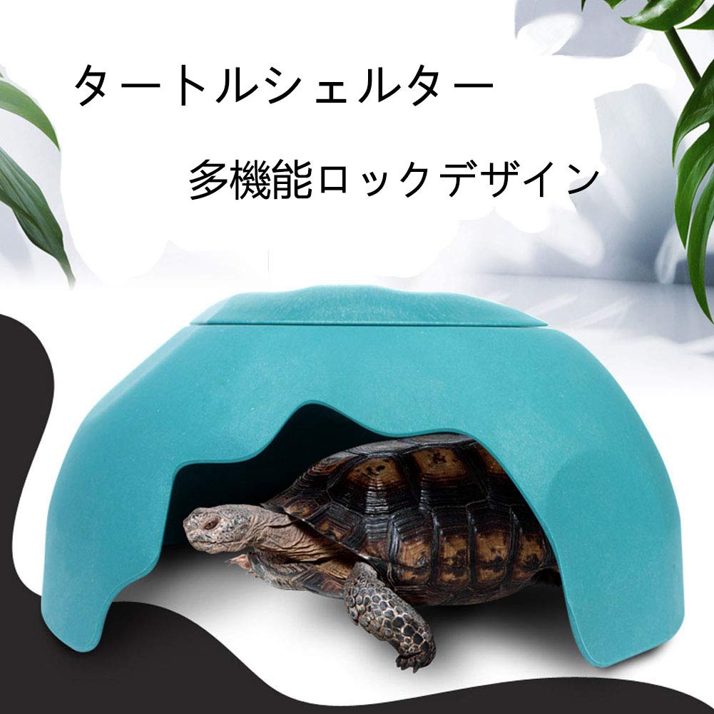 OMEM Reptiles House ventilation supérieure bleu, air frais pour terrarium