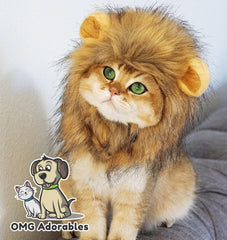 OMG Adorables capuche lion chat confort, tenue légère idéale pour jouer.