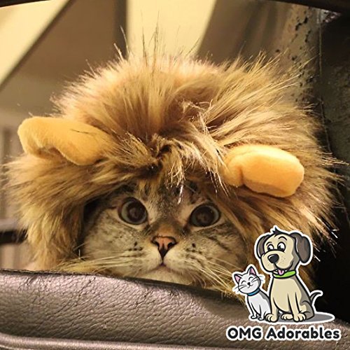 OMG Adorables costume lion fêtes-photo, parfait pour célébrations et moments joyeux.