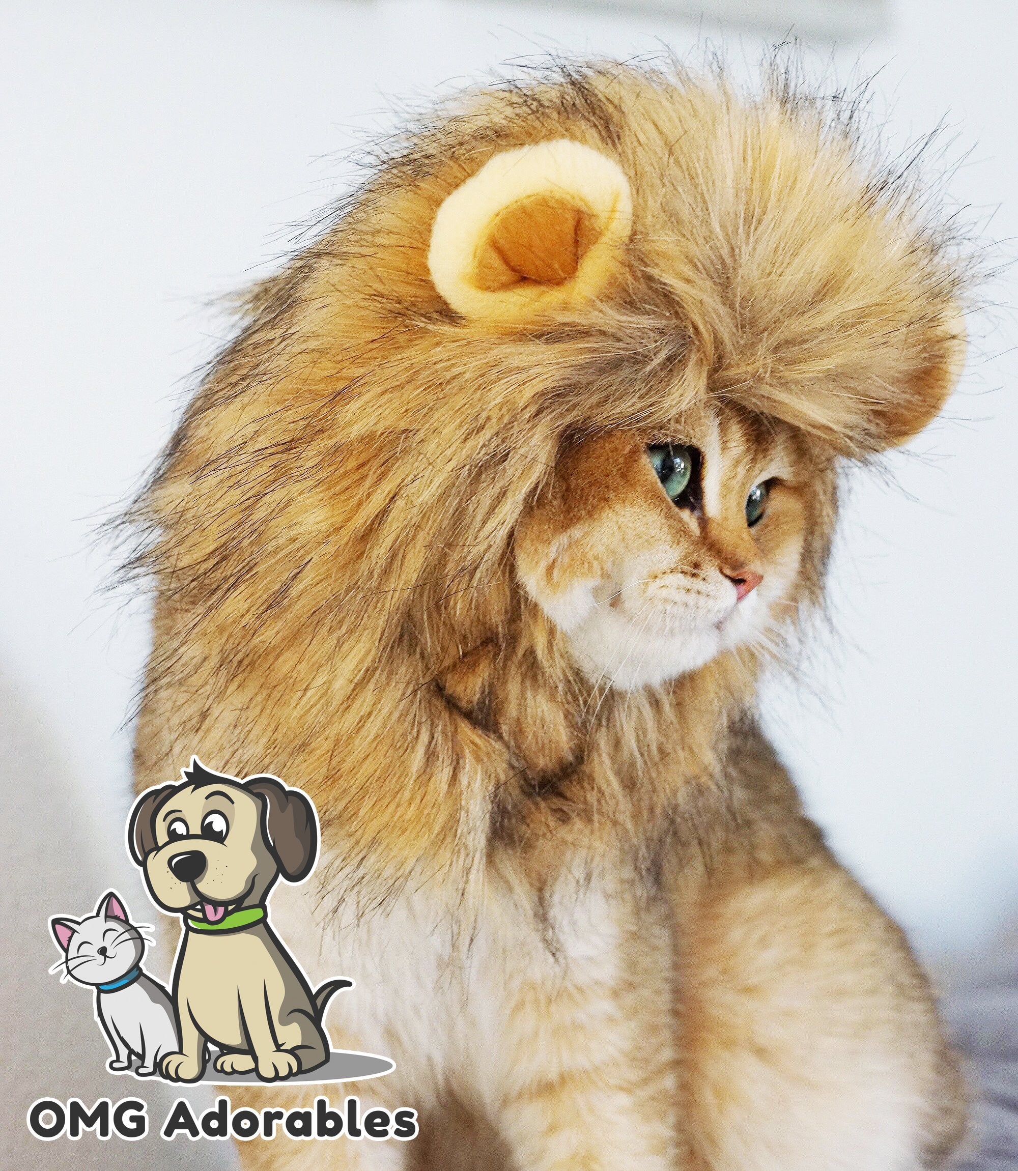OMG Adorables enfilage-facile capuche lion chat, rapide et pratique pour l'habillage.