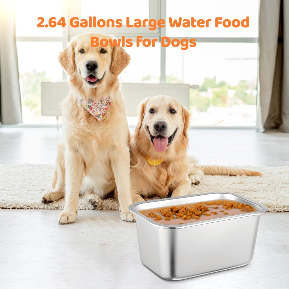 Bol OMISTAR inox poli, durable et élégant pour votre espace repas.