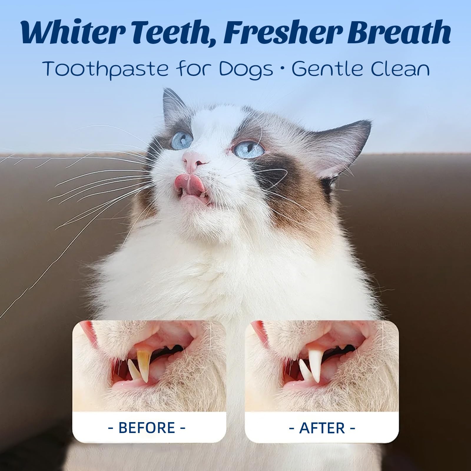 OMYGYM brosse dentaire douce pour chien et chat.