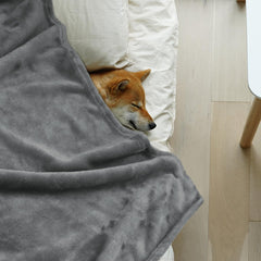 Onarway couverture chien 59x47, design gris doux pour couchage et voyage.
