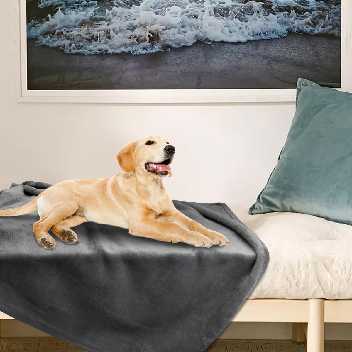 Onarway couverture lavable 59x47, pratique en machine pour l entretien.
