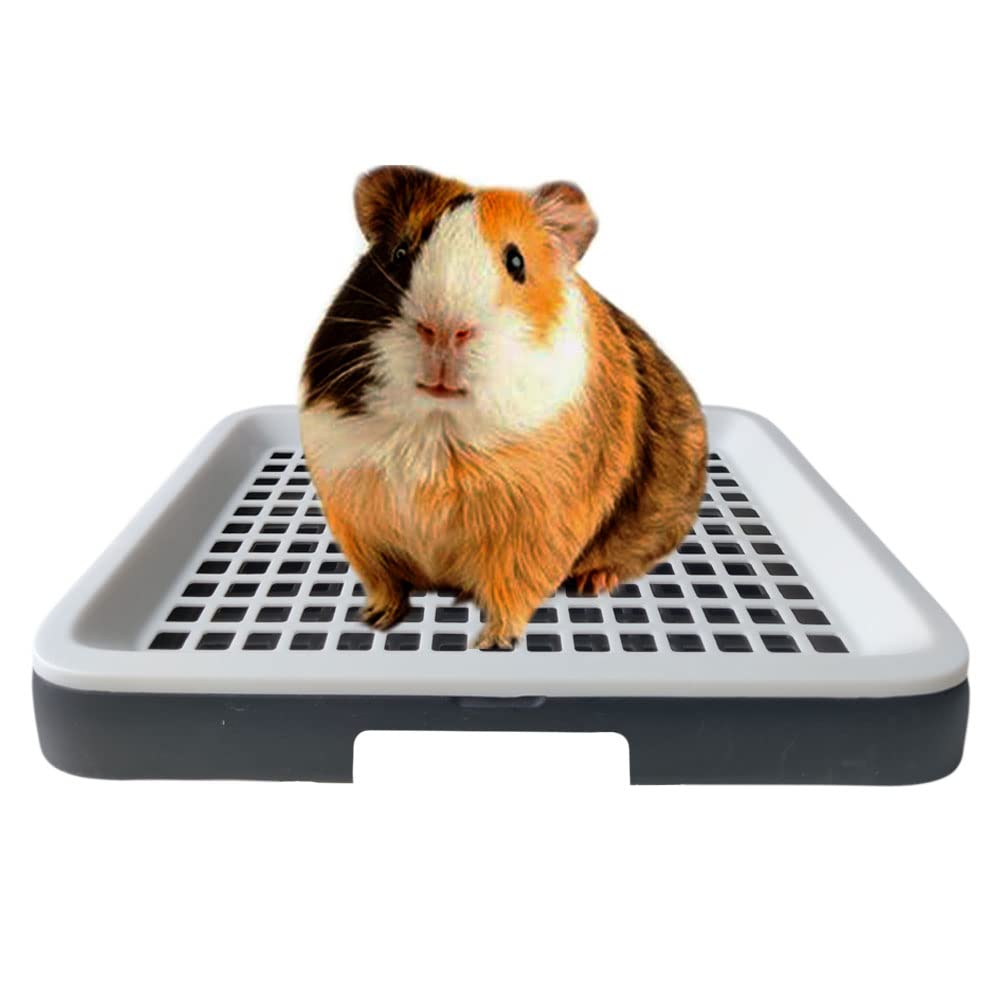 Oncpcare pan-litiere avec grille, pratique et facile à nettoyer.