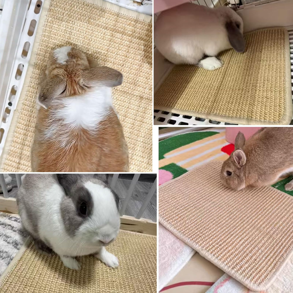 Oncpcare tapis-lapin nid-repos : coin calme pour dormir et se blottir.