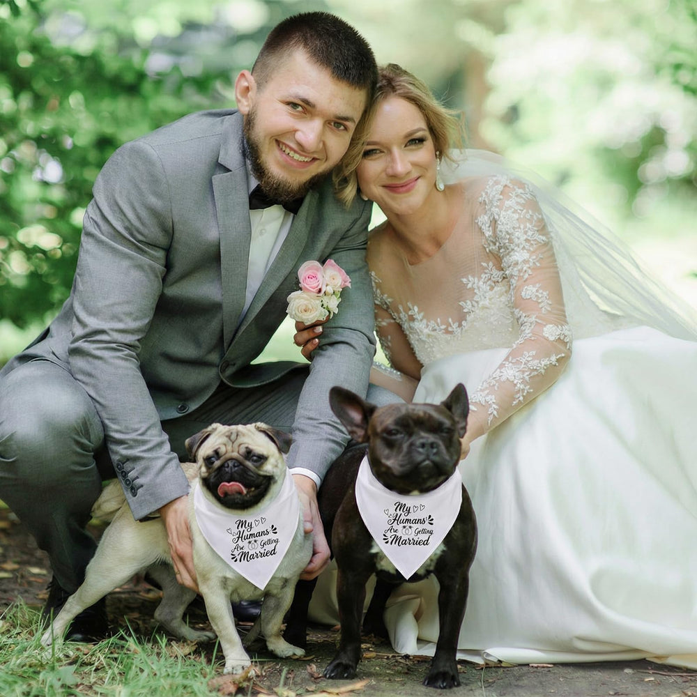 Bandana Ondware duo – ensemble idéale pour photos et célébrations canines.