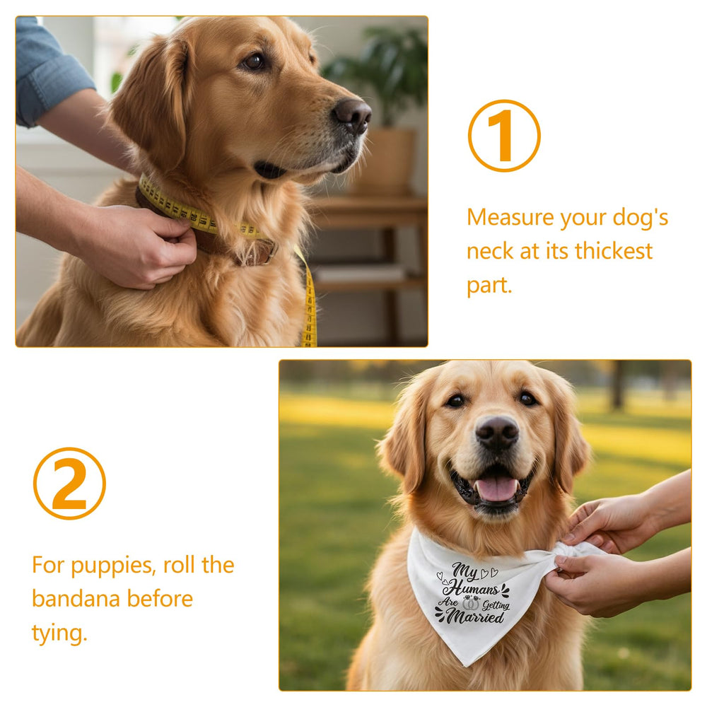 Accessoire Ondware chien – bandana à motif engagement pour fêtes.