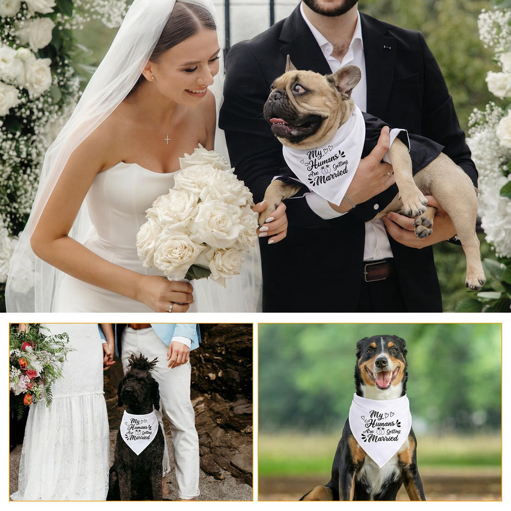 Bandana Ondware chien texte Mes humains vont se marier – look chic.