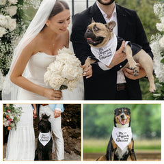 Bandana Ondware chien texte Mes humains vont se marier – look chic.