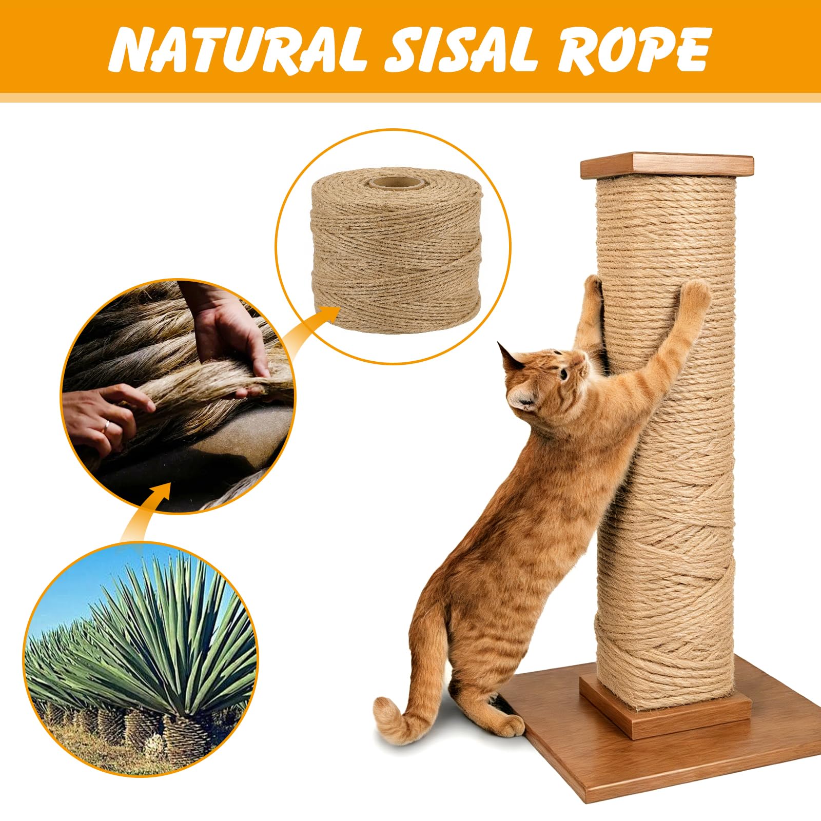 Ondware corde sisal 4 plis, résistance accrue pour griffes et usage durable.